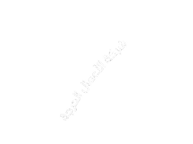 stc-word4